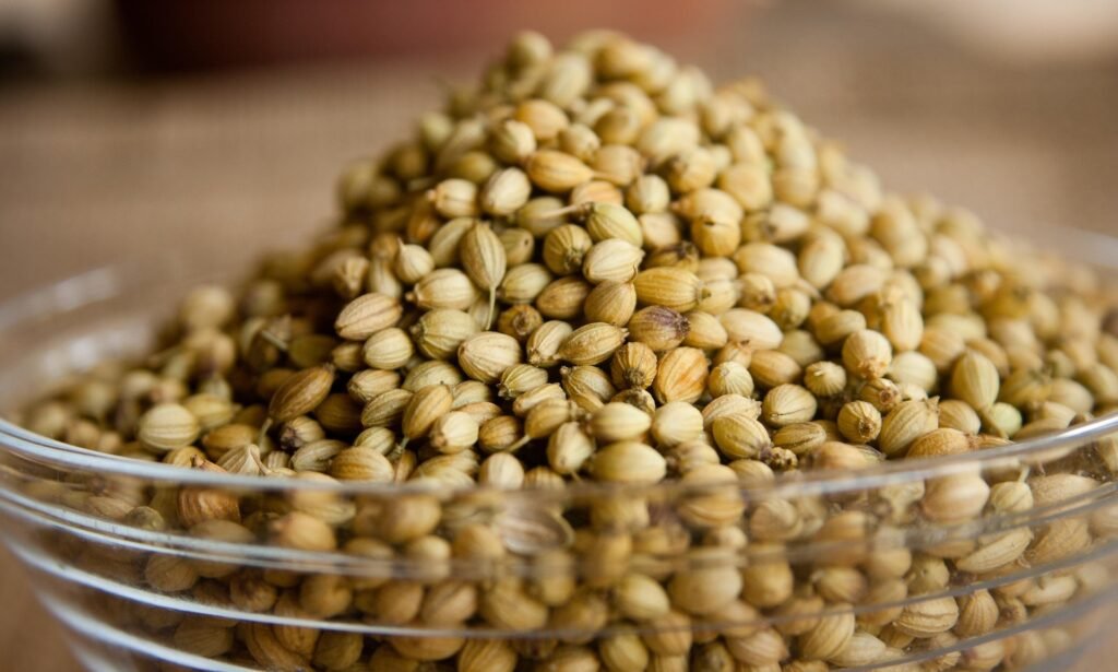 AHB-Global-Trading-Indian-Coriander-seeds