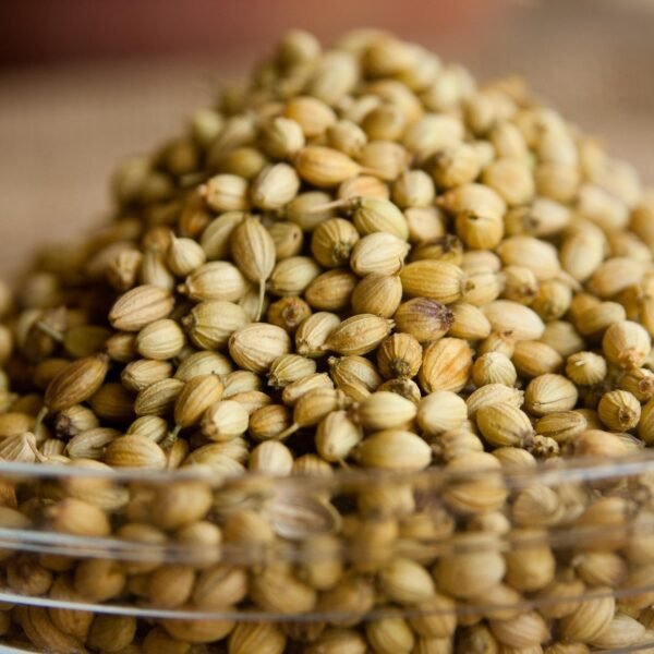 AHB-Global-Trading-Indian-Coriander-seeds