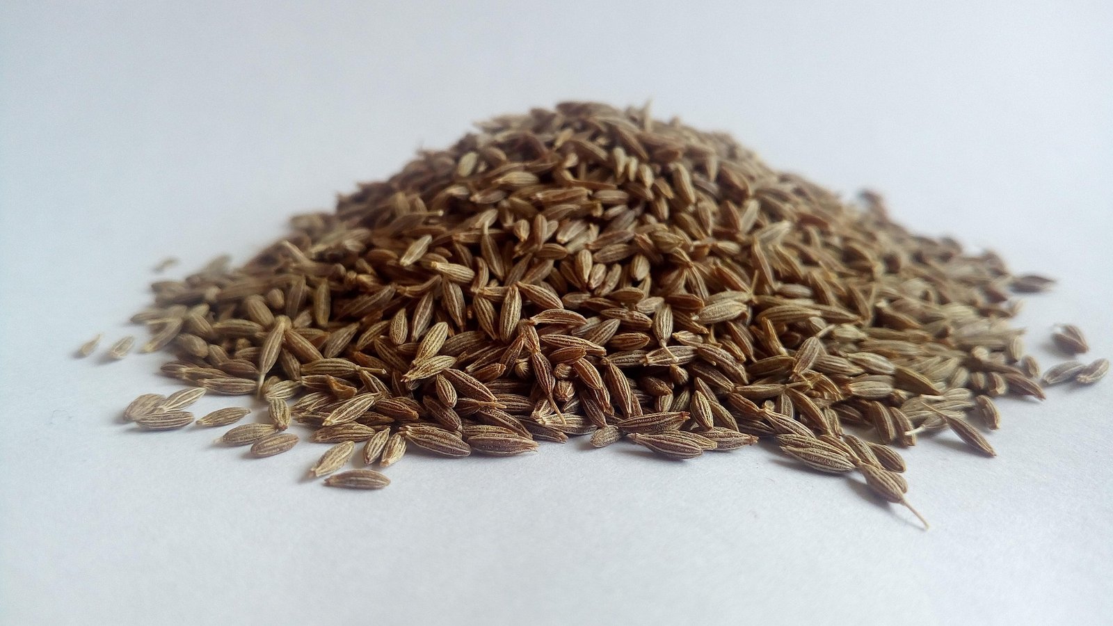 AHB-Global-Trading-Indian-Cumin-seeds