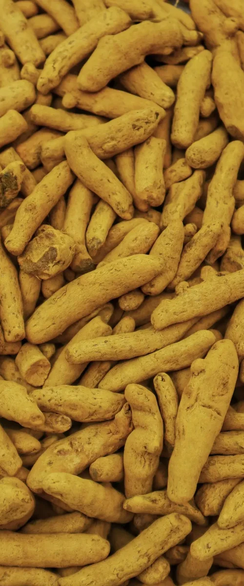 AHB-Global-Trading-Turmeric-Finger
